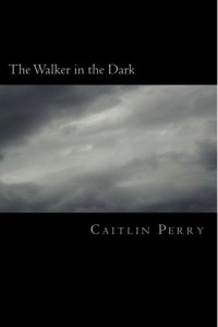 Walker in the Dark Cover